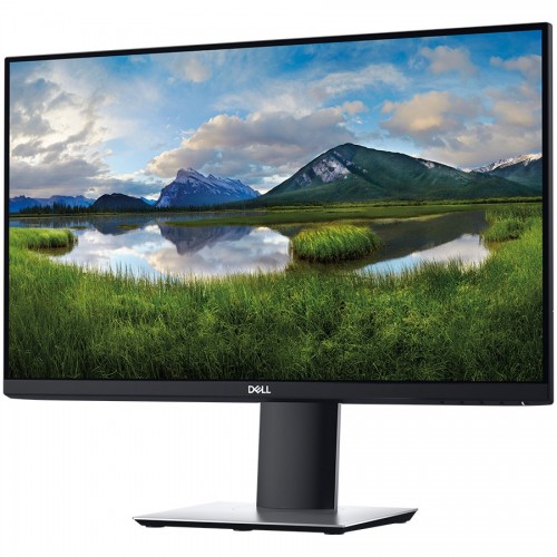 Monitor DELL Professional P2421 24.1in, 1920x1200, FHD+, IP...